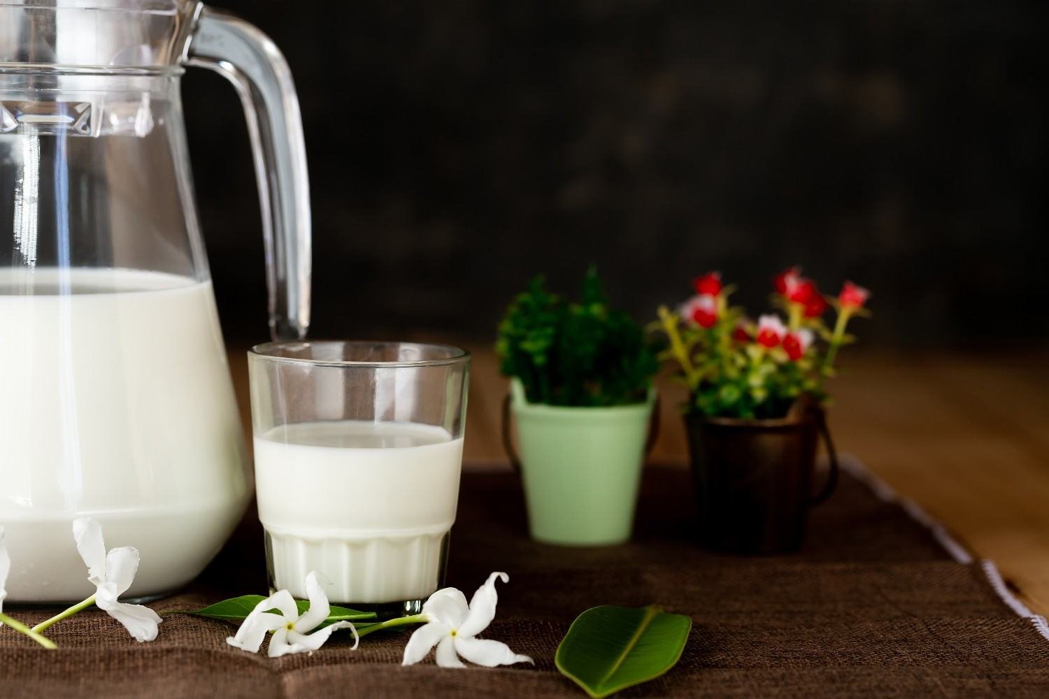 How Do Popular Plant Milks Compare in Coffee?