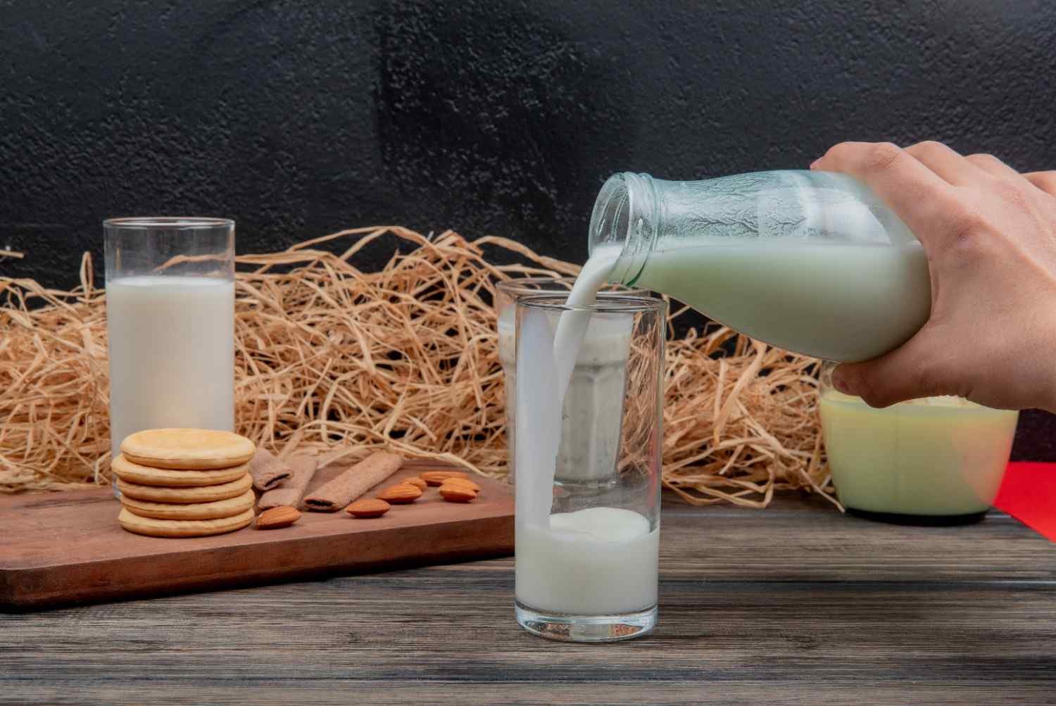 Best Non-Dairy Milk for Coffee: Taste, Froth & Nutrition